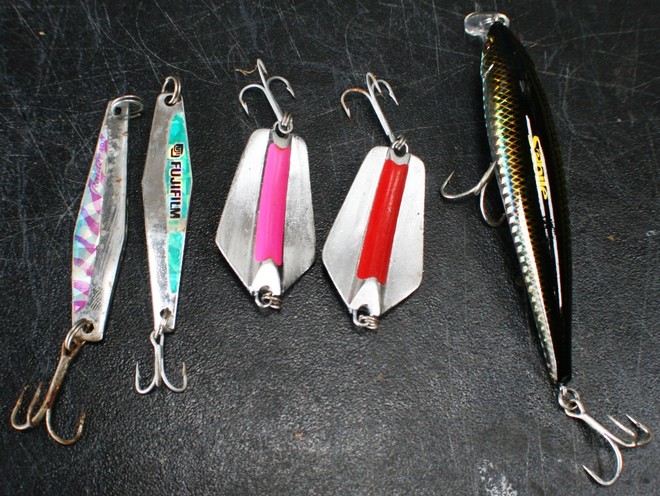 Flathead lures that work! - Fishing Lizard Island © Carl Hyland - copyright